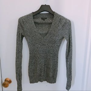 Express V-neck sweater